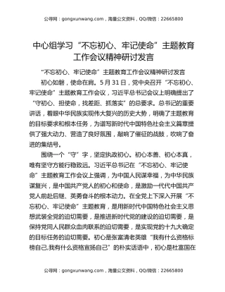 中心组学习“不忘初心、牢记使命”主题教育工作会议精神研讨发言