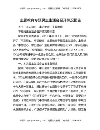 主题教育专题民主生活会召开情况报告
