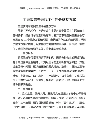 主题教育专题民主生活会整改方案