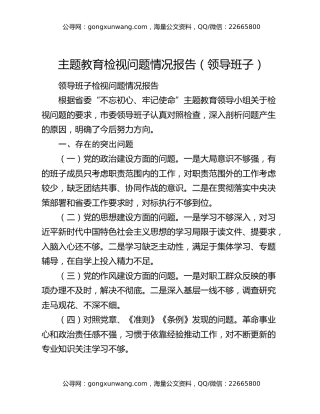 主题教育检视问题情况报告（领导班子）