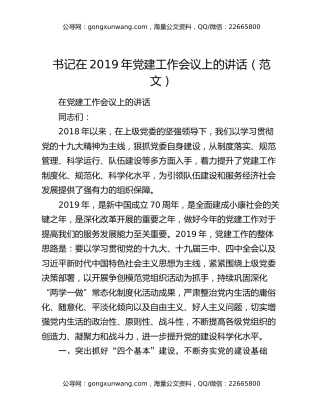 书记在2019年党建工作会议上的讲话（范文）