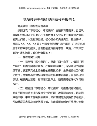 党员领导干部检视问题分析报告1