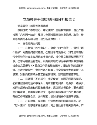 党员领导干部检视问题分析报告2