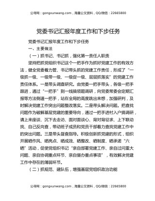 党委书记汇报年度工作和下步任务