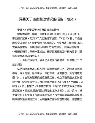 党委关于巡察整改情况的报告（范文）