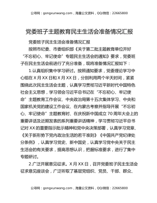 党委班子主题教育民主生活会准备情况汇报