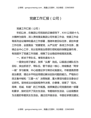 党建工作汇报（公司）