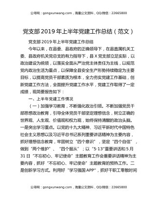 党支部2019年上半年党建工作总结（范文）