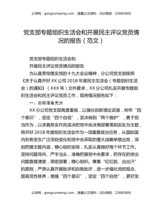 党支部专题组织生活会和开展民主评议党员情况的报告（范文）