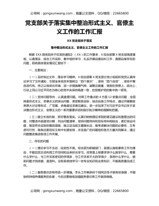 党支部关于落实集中整治形式主义、官僚主义工作的工作汇报