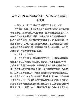 公司2019年上半年党建工作总结及下半年工作打算