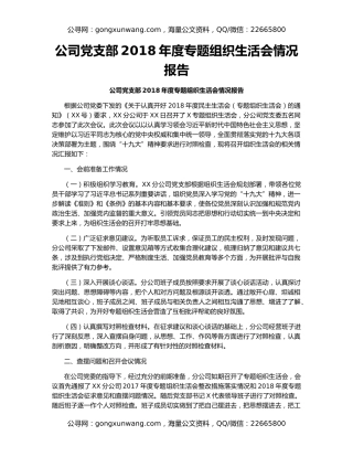 公司党支部2018年度专题组织生活会情况报告