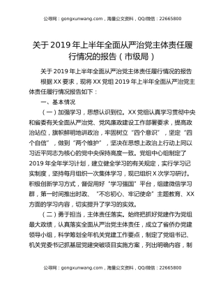 关于2019年上半年全面从严治党主体责任履行情况的报告（市级局）
