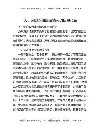 关于党的政治建设情况的自查报告