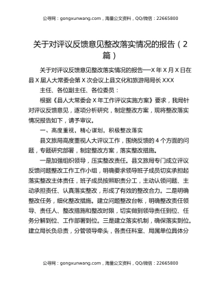 关于对评议反馈意见整改落实情况的报告（2篇）