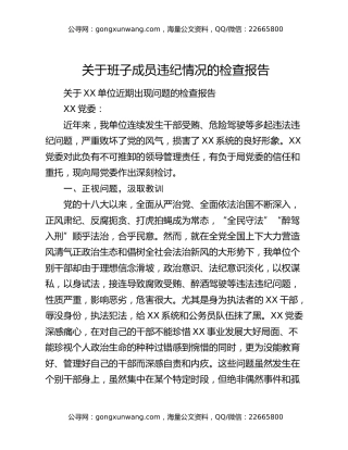 关于班子成员违纪情况的检查报告