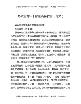办公室青年干部座谈会发言（范文）