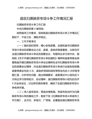 县区扫黑除恶专项斗争工作情况汇报