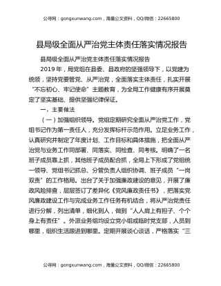 县局级全面从严治党主体责任落实情况报告
