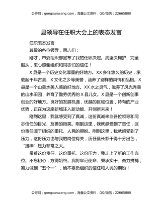 县领导在任职大会上的表态发言