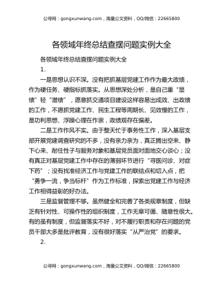 各领域年终总结查摆问题实例大全