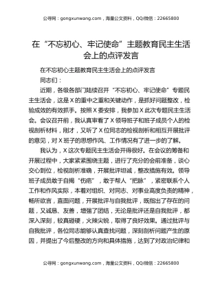 在“不忘初心、牢记使命”主题教育民主生活会上的点评发言