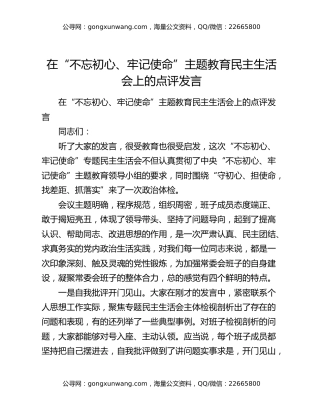 在“不忘初心、牢记使命”主题教育民主生活会上的点评发言（2）