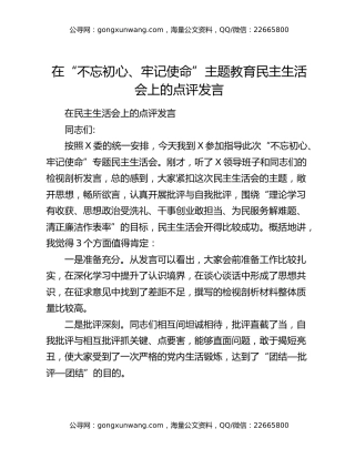 在“不忘初心、牢记使命”主题教育民主生活会上的点评发言（3）