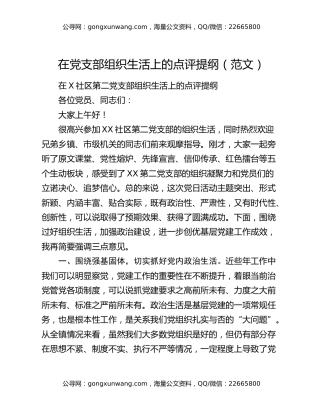 在党支部组织生活上的点评提纲（范文）