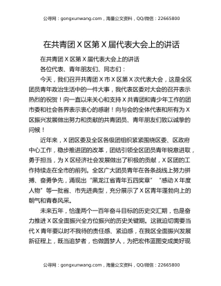 在共青团X区第X届代表大会上的讲话