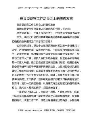 在县委巡察工作动员会上的表态发言