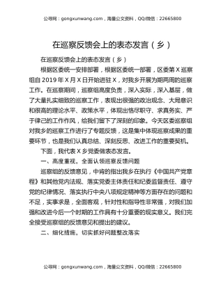 在巡察反馈会上的表态发言（乡）