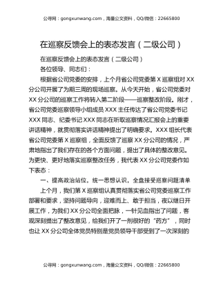 在巡察反馈会上的表态发言（二级公司）