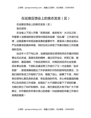 在巡察反馈会上的表态发言（区）
