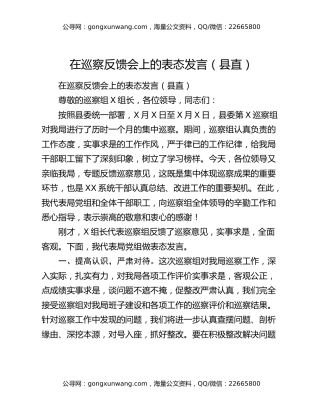 在巡察反馈会上的表态发言（县直）
