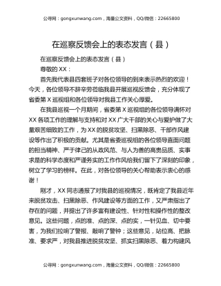 在巡察反馈会上的表态发言（县）