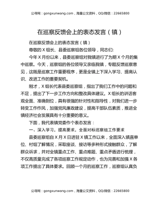 在巡察反馈会上的表态发言（镇）