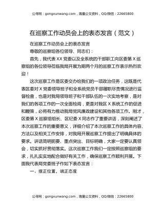 在巡察工作动员会上的表态发言（范文）