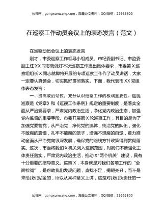 在巡察工作动员会议上的表态发言（范文）