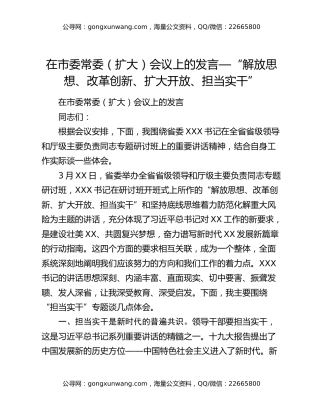 在市委常委（扩大）会议上的发言—“解放思想、改革创新、扩大开放、担当实干”