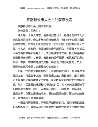 在撤县设市大会上的表态发言