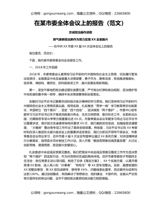 在某市委全体会议上的报告（范文）
