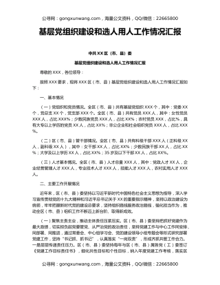 基层党组织建设和选人用人工作情况汇报