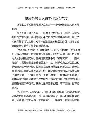 基层公务员入职工作体会范文