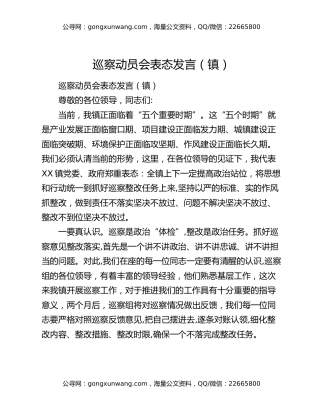 巡察动员会表态发言（镇）