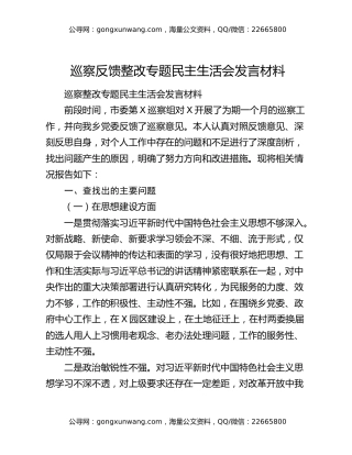 巡察反馈整改专题民主生活会发言材料