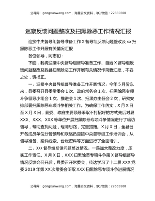 巡察反馈问题整改及扫黑除恶工作情况汇报