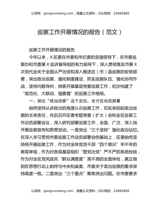 巡察工作开展情况的报告（范文）