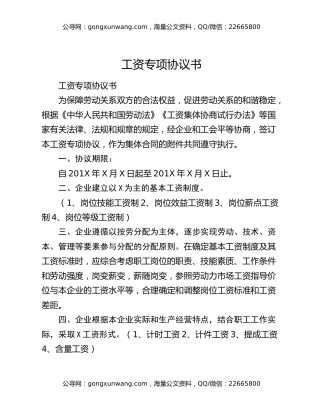 工资专项协议书