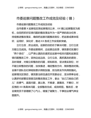 市委巡察问题整改工作成效及经验（镇）